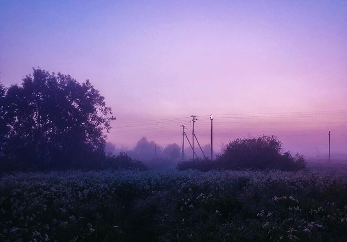 开云-米兰冬奥会中国参赛运动员名单公示：谷爱凌、苏翊鸣等在列